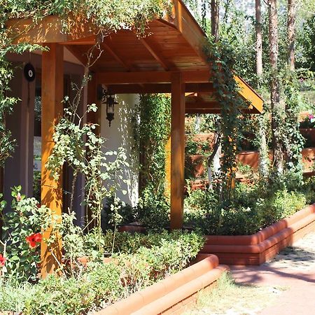 Boncuklu Otel Ölüdeniz Exterior foto